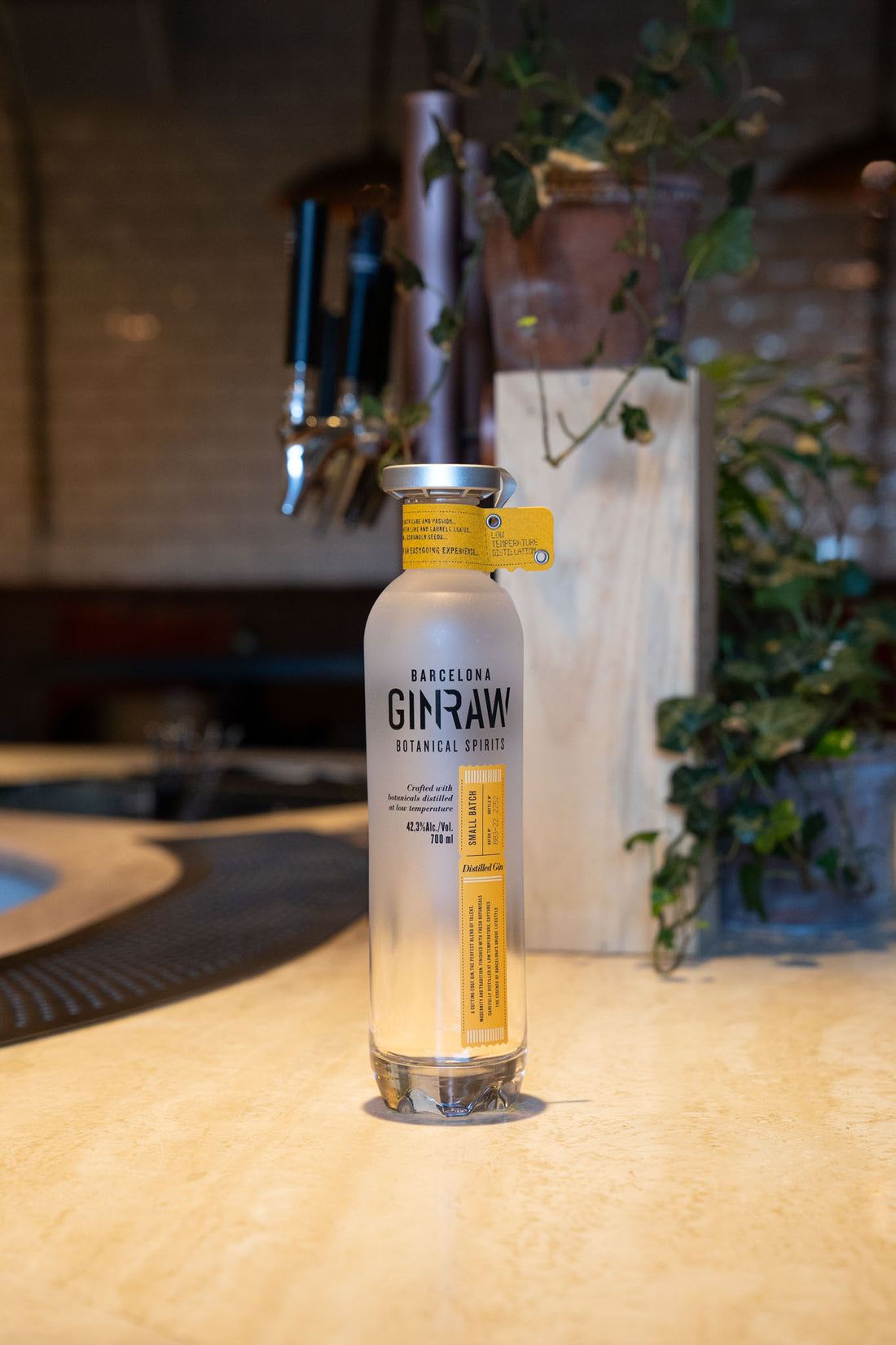 Gin Raw