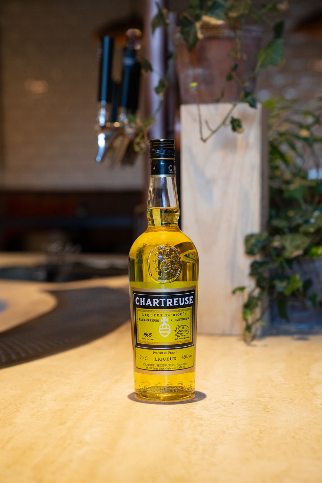 Gul Chartreuse