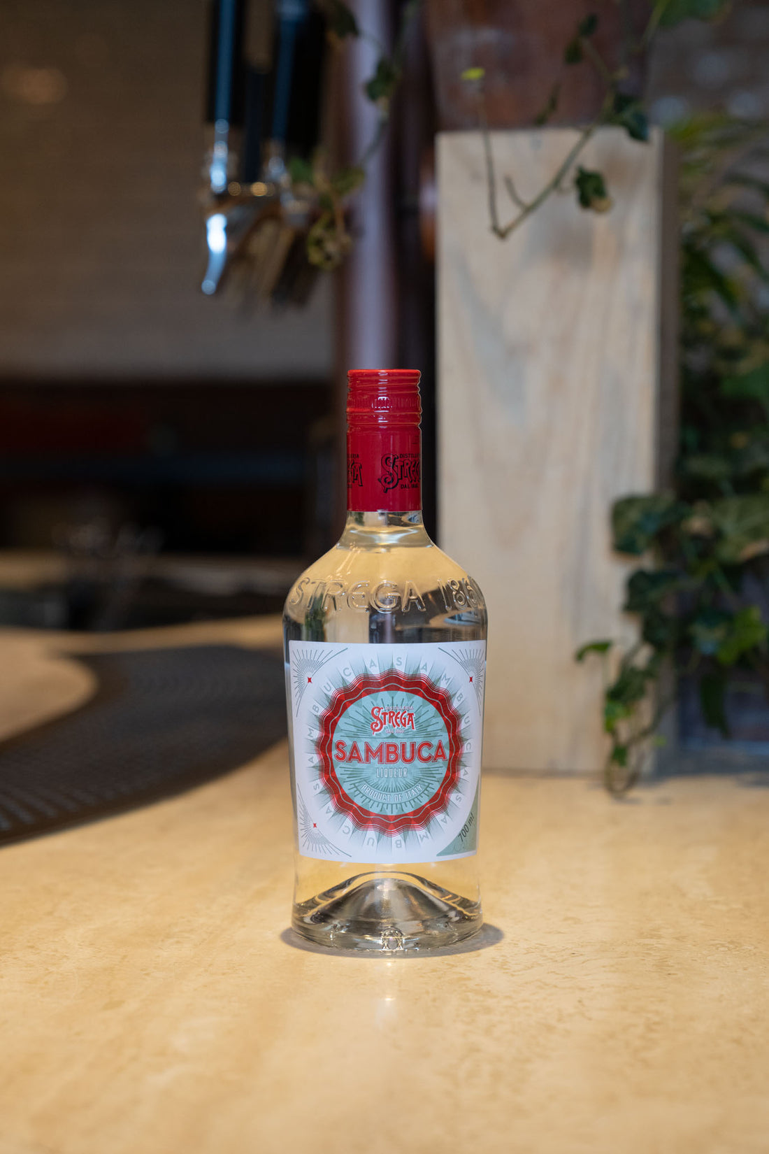 Sambuca